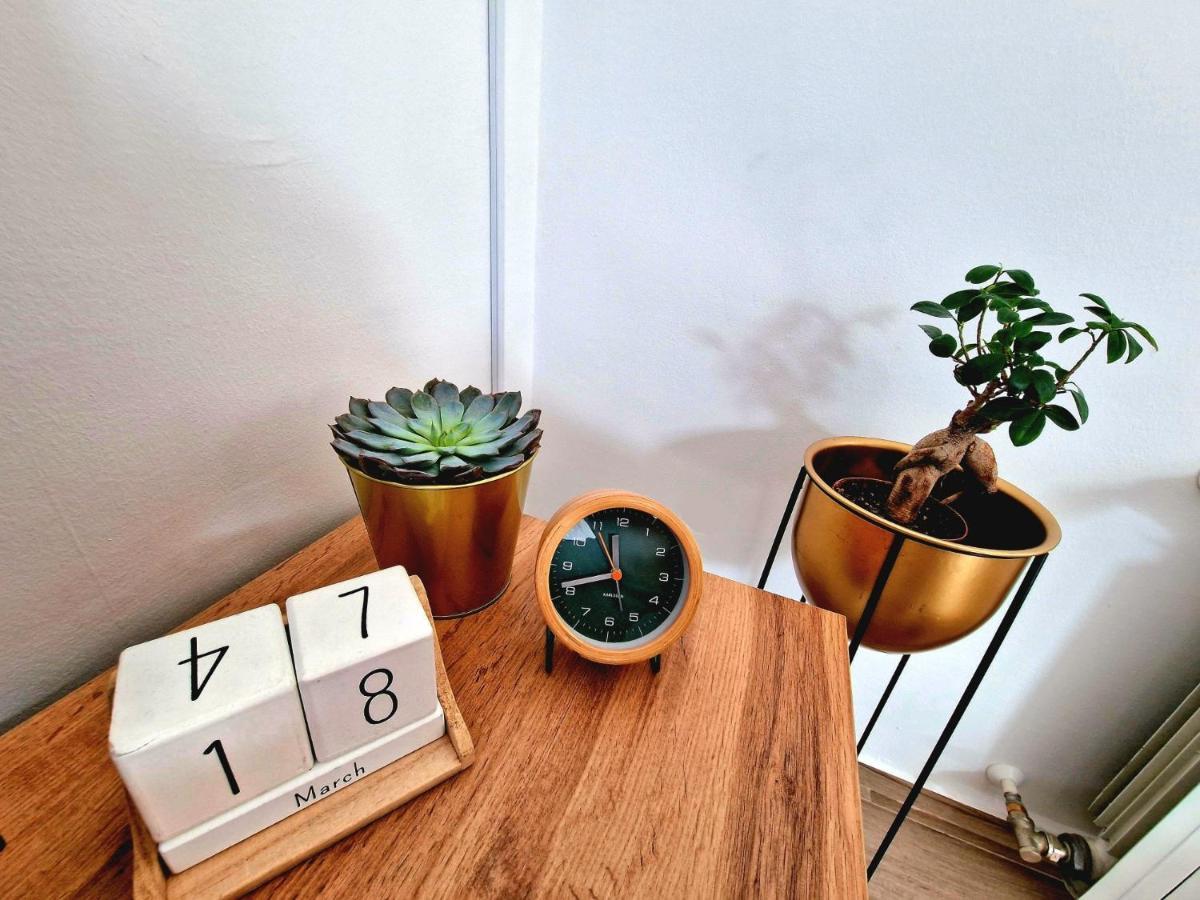 Studio Apartman Varadero Bjelovar Eksteriør billede