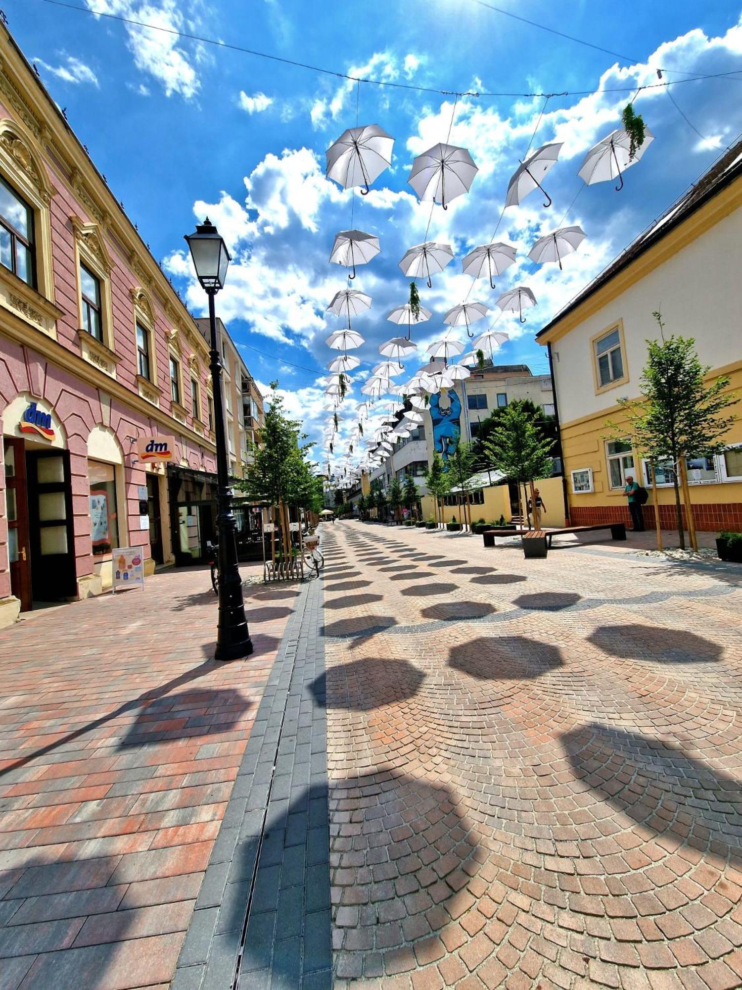 Studio Apartman Varadero Bjelovar Eksteriør billede
